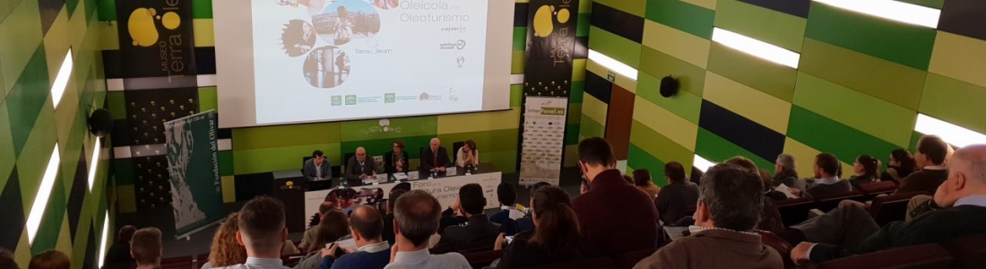 Profesionales del sector del oleoturismo se reúnen en el Museo Terra Oleum en el I Foro por la Cultura Oleícola de Andalucía Profesionales del sector del oleoturismo se reúnen en el Museo Terra Oleum en el I Foro por la Cultura Oleícola de Andalucía