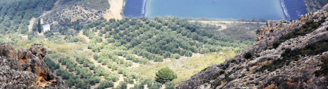 Cabanas dice que el regadío es un elemento esencial para el desarrollo rural sostenible Cabanas dice que el regadío es un elemento esencial para el desarrollo rural sostenible