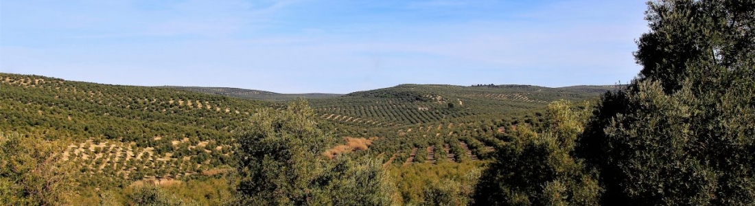 La Junta autoriza un nuevo pago de 105,6 millones de euros de ayudas de la PAC La Junta autoriza un nuevo pago de 105,6 millones de euros de ayudas de la PAC