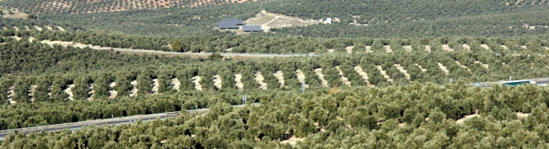 La Junta triplica el presupuesto de las ayudas para modernizar las explotaciones agrarias La Junta triplica el presupuesto de las ayudas para modernizar las explotaciones agrarias