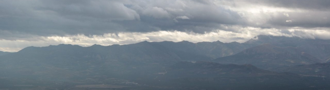 ASAJA-Jaén denuncia el retraso de las ayudas a los jóvenes agricultores ASAJA-Jaén denuncia el retraso de las ayudas a los jóvenes agricultores