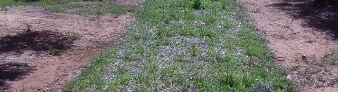 Abonado un pago adicional de 6,7 millones a la agricultura ecológica, medidas agroambientales y zonas con limitaciones Abonado un pago adicional de 6,7 millones a la agricultura ecológica, medidas agroambientales y zonas con limitaciones