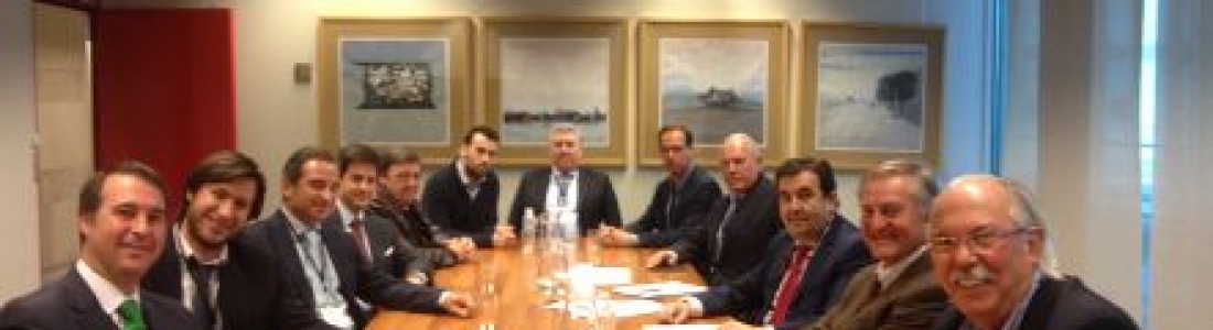 Nace la Federación Europea de Aceite de Orujo de Oliva y Biomasa del Olivar Nace la Federación Europea de Aceite de Orujo de Oliva y Biomasa del Olivar