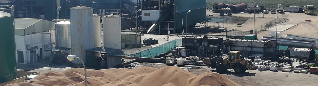 El aceite de orujo de oliva quiere volver a casa El aceite de orujo de oliva quiere volver a casa
