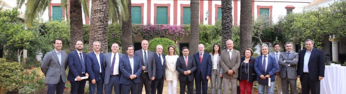 Varias diputaciones y universidades públicas se adhieren a la candidatura de Los Paisajes del Olivar en Andalucía Varias diputaciones y universidades públicas se adhieren a la candidatura de Los Paisajes del Olivar en Andalucía