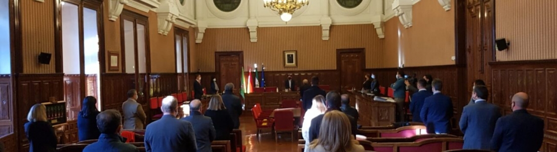 La Diputación de Jaén aprueba una declaración institucional para que mejore la clasificación de los aceites de oliva en el sistema de etiquetado Nutri Score La Diputación de Jaén aprueba una declaración institucional para que mejore la clasificación de los aceites de oliva en el sistema de etiquetado Nutri Score