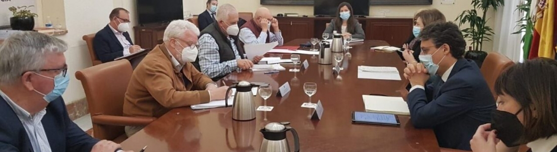 ASAJA, COAG, UPA y Cooperativas Agro-alimentarias de Andalucía anuncian que sacarán los tractores a la calle «en cuanto lo permita la pandemia» para reclamar «una PAC justa» ASAJA, COAG, UPA y Cooperativas Agro-alimentarias de Andalucía anuncian que sacarán los tractores a la calle «en cuanto lo permita la pandemia» para reclamar «una PAC justa»