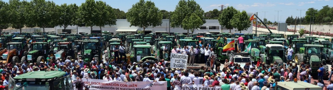 Tractorada de agricultores en Úbeda para pedir soluciones al precio del aceite de oliva y a la regulación de regadíos Tractorada de agricultores en Úbeda para pedir soluciones al precio del aceite de oliva y a la regulación de regadíos