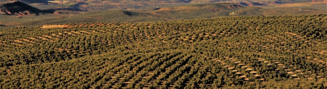 Aprobado el proyecto del 39 Plan de Seguros Agrarios Combinados Aprobado el proyecto del 39 Plan de Seguros Agrarios Combinados