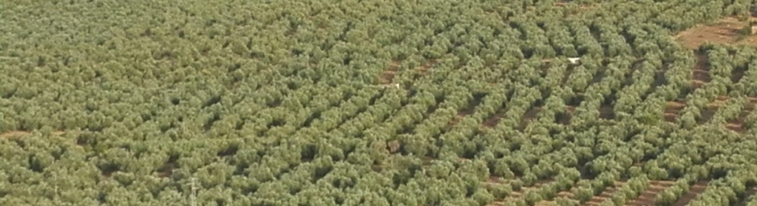 El sistema agroalimentario aportó el 10,3% del PIB en 2014 El sistema agroalimentario aportó el 10,3% del PIB en 2014