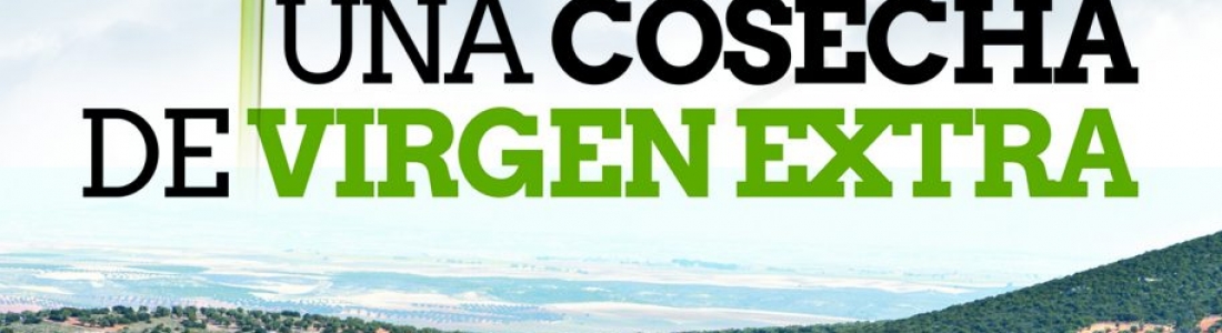 Ya está en la calle un nuevo número de la revista impresa Oleum Xauen Ya está en la calle un nuevo número de la revista impresa Oleum Xauen
