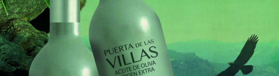El presidente de la cooperativa San Vicente de Mogón resalta la apuesta por los AOVEs de calidad con su inscripción en la IGP Aceite de Jaén El presidente de la cooperativa San Vicente de Mogón resalta la apuesta por los AOVEs de calidad con su inscripción en la IGP Aceite de Jaén