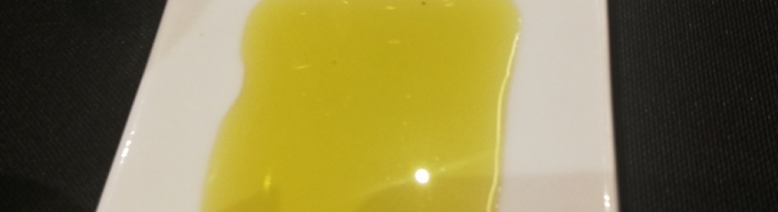 La Unión Europea da luz verde a la IGP “Aceites de Jaén” La Unión Europea da luz verde a la IGP “Aceites de Jaén”