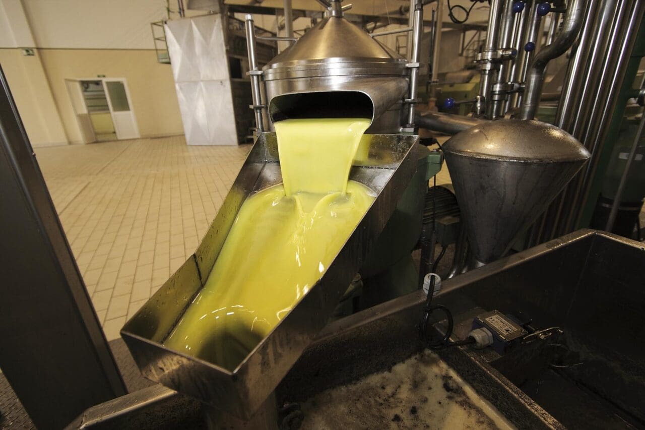 La DO Sierra de Cazorla estima una producción de aceite de oliva en esta campaña de entre 40 y 45 millones de kilos La DO Sierra de Cazorla estima una producción de aceite de oliva en esta campaña de entre 40 y 45 millones de kilos