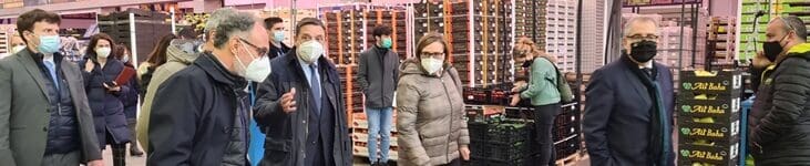Planas: La nueva ley de la cadena alimentaria fomenta la creación de valor Planas: La nueva ley de la cadena alimentaria fomenta la creación de valor