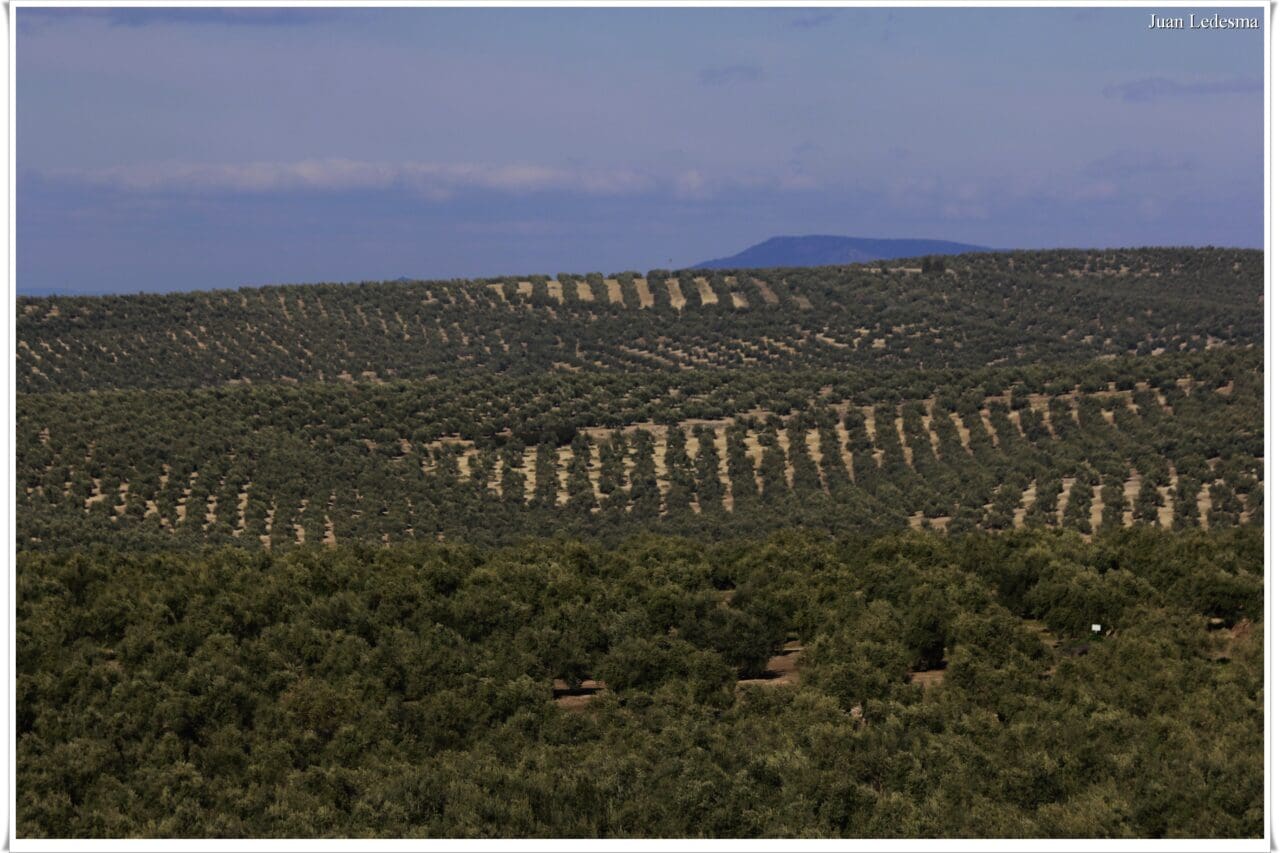 El Ministerio de Agricultura, Pesca y Alimentación aborda la situación del acceso a la tierra y su incidencia en el relevo generacional El Ministerio de Agricultura, Pesca y Alimentación aborda la situación del acceso a la tierra y su incidencia en el relevo generacional