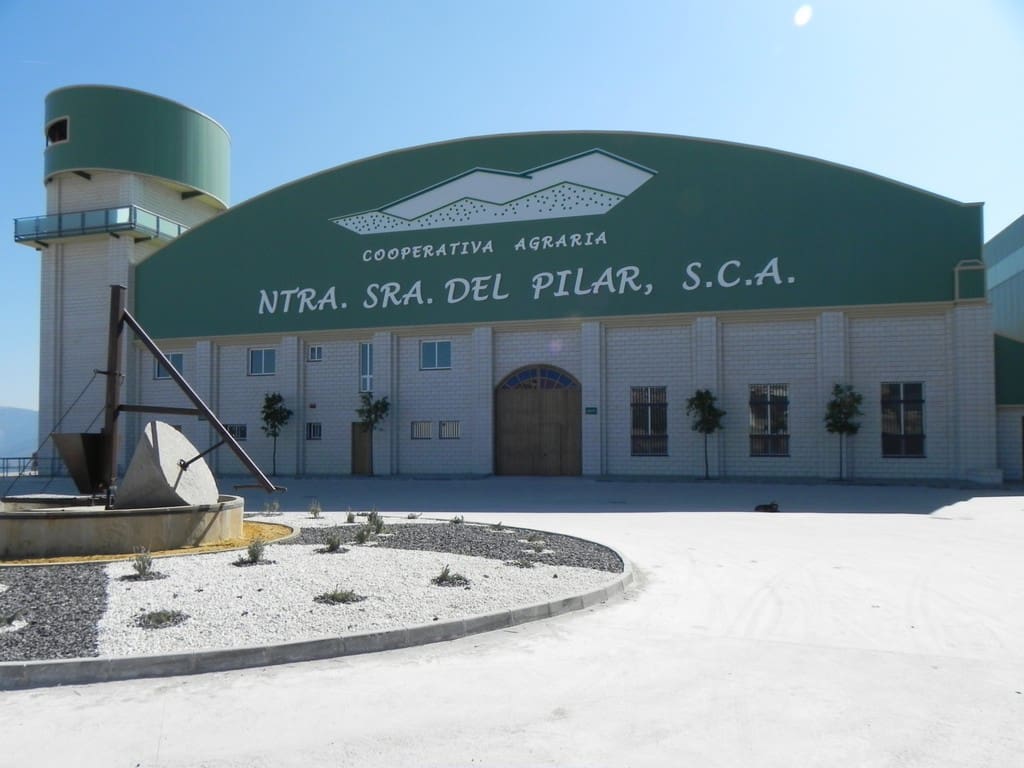 La coperativa El Pilar de Villacarrillo, la de mayor producción, y la SCA Sagrado Corazón de Jesús de Las Casillas se incorporan a la IGP Aceite de Jaén La coperativa El Pilar de Villacarrillo, la de mayor producción, y la SCA Sagrado Corazón de Jesús de Las Casillas se incorporan a la IGP Aceite de Jaén