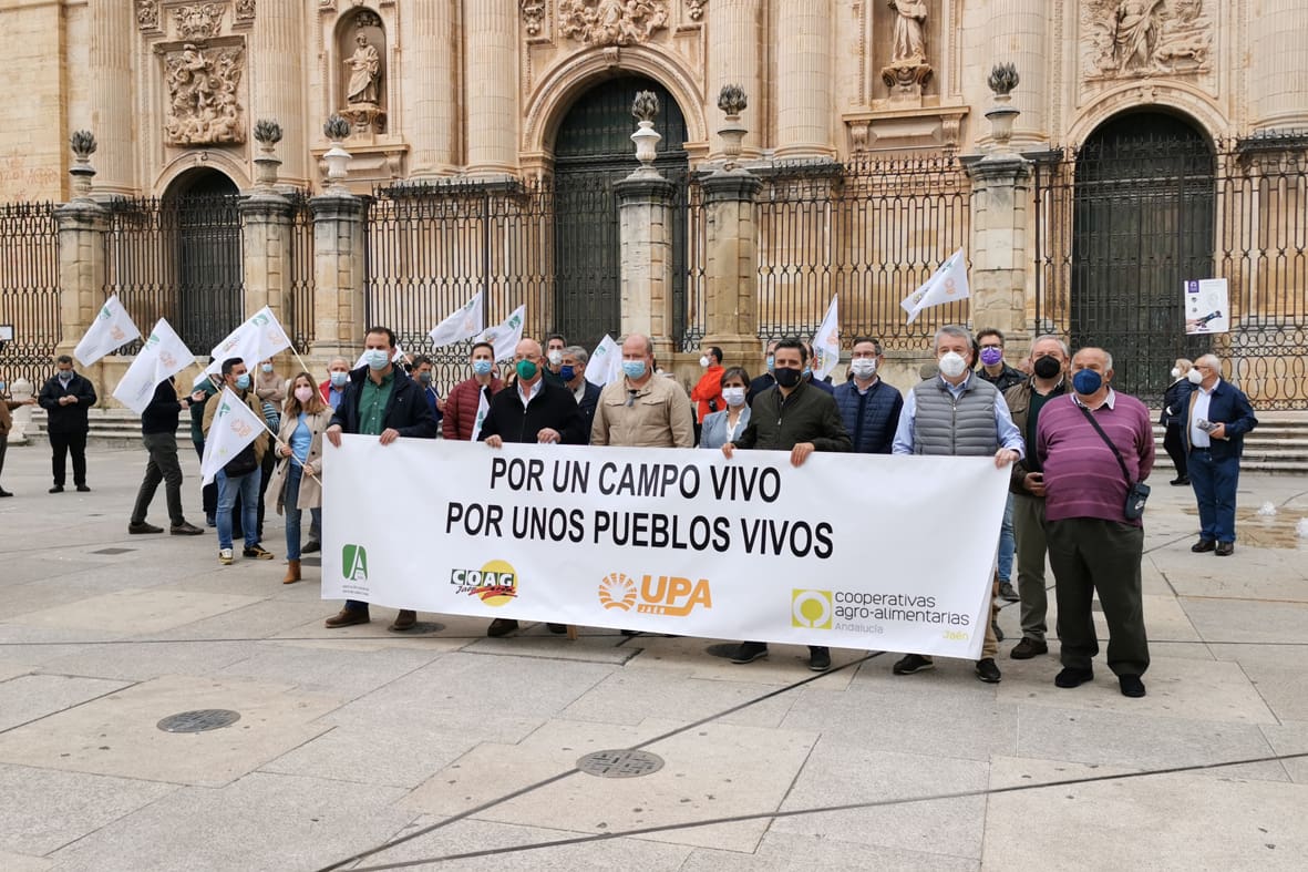 Movilización del sector agrario en la provincia de Jaén para reclamar una convergencia menos brusca y una PAC beneficiosa para la provincia Movilización del sector agrario en la provincia de Jaén para reclamar una convergencia menos brusca y una PAC beneficiosa para la provincia