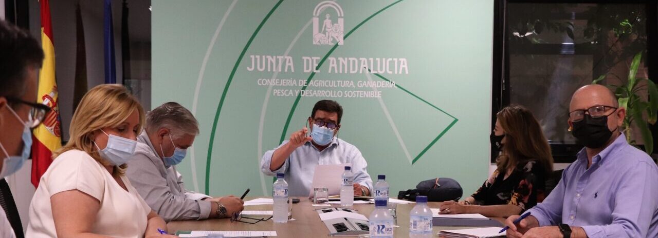 El Grupo de Expertos por la PAC insiste en que el Ministerio de Agricultura pelee por una convergencia tope del 85% El Grupo de Expertos por la PAC insiste en que el Ministerio de Agricultura pelee por una convergencia tope del 85%