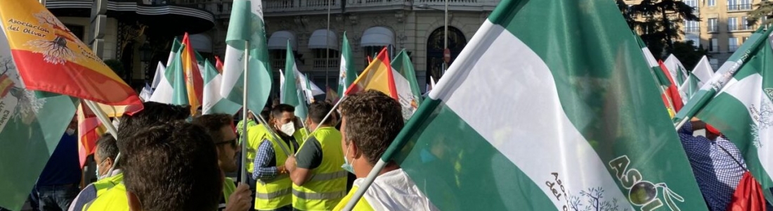 Agricultores convocados por Asolite exigen en Madrid agua y una PAC justa para el olivar tradicional Agricultores convocados por Asolite exigen en Madrid agua y una PAC justa para el olivar tradicional