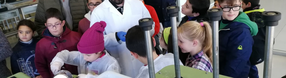 Un millar de escolares visita el Museo Terra Oleum en el primer trimestre del curso Un millar de escolares visita el Museo Terra Oleum en el primer trimestre del curso