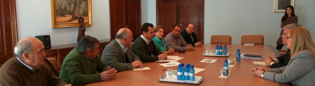 COAG-Jaén cifra en 400 millones de euros las pérdidas por la sequía en el sector oleícola de Jaén en esta campaña COAG-Jaén cifra en 400 millones de euros las pérdidas por la sequía en el sector oleícola de Jaén en esta campaña