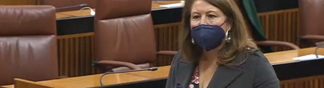 Carmen Crespo solicita una tarifa especial agraria para consumo de energía y un IVA reducido del 10% para los insumos agrícolas Carmen Crespo solicita una tarifa especial agraria para consumo de energía y un IVA reducido del 10% para los insumos agrícolas