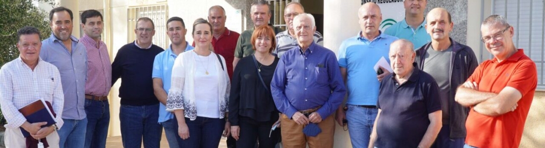 La DO Sierra de Cazorla destaca que esta campaña oleícola tiene menos fruto por brote, más calibre de aceituna y mejor calidad del aceite La DO Sierra de Cazorla destaca que esta campaña oleícola tiene menos fruto por brote, más calibre de aceituna y mejor calidad del aceite
