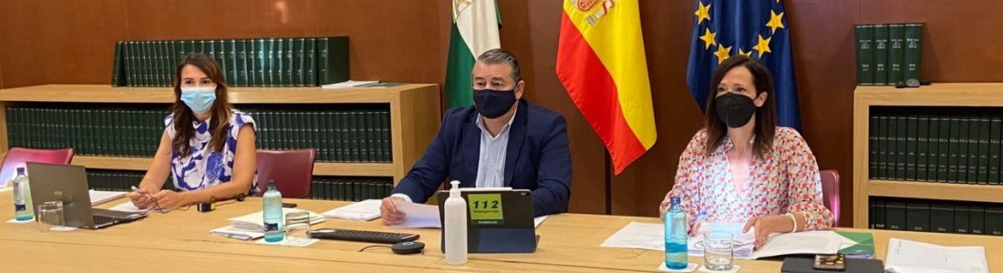La Junta insta a la colaboración de todos para que la campaña de recogida de la aceituna en Jaén «siga siendo segura» La Junta insta a la colaboración de todos para que la campaña de recogida de la aceituna en Jaén «siga siendo segura»