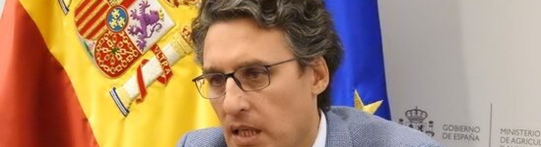Agricultura trabaja con las comunidades autónomas en unos ecoesquemas que se adapten a toda la tipología de explotaciones Agricultura trabaja con las comunidades autónomas en unos ecoesquemas que se adapten a toda la tipología de explotaciones