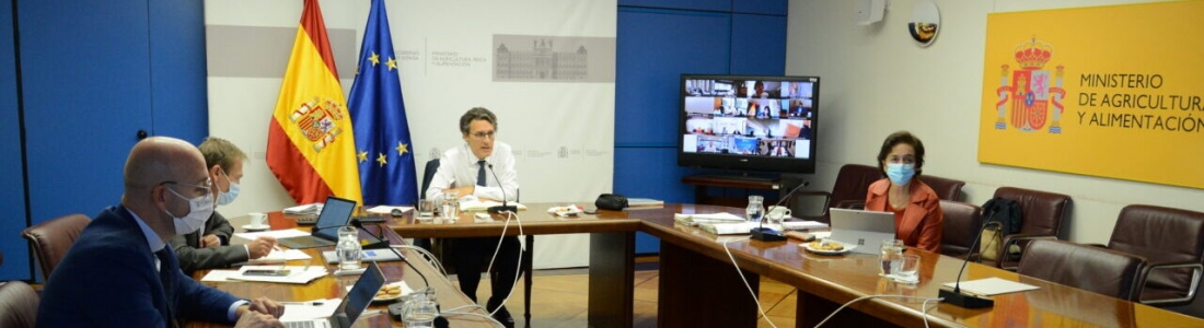 El Ministerio de Agricultura y las comunidades autónomas hacen balance de los trabajos preparatorios del Plan Estratégico de la PAC El Ministerio de Agricultura y las comunidades autónomas hacen balance de los trabajos preparatorios del Plan Estratégico de la PAC