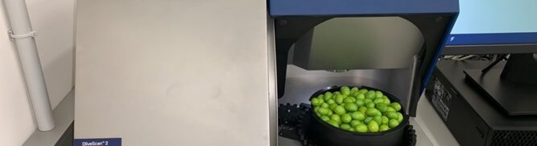 Olivarum, laboratorio pionero en la acreditación ENAC para análisis de aceituna entera por la técnica NIR Olivarum, laboratorio pionero en la acreditación ENAC para análisis de aceituna entera por la técnica NIR