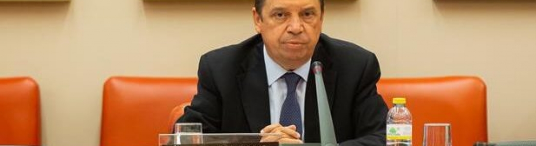 Planas afirma que el Gobierno plantea una PAC más justa, más sostenible, más social y que apoye la innovación y la digitalización Planas afirma que el Gobierno plantea una PAC más justa, más sostenible, más social y que apoye la innovación y la digitalización