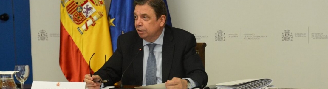 Planas subraya el valor de los fondos de recuperación para emprender la digitalización, la innovación y la sostenibilidad de la economía Planas subraya el valor de los fondos de recuperación para emprender la digitalización, la innovación y la sostenibilidad de la economía