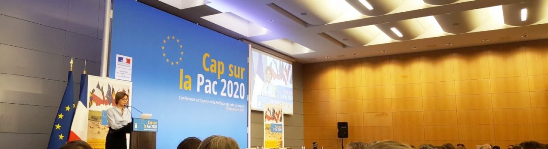 García Tejerina dice que la PAC debe seguir siendo «el pilar imprescindible para una Europa fuerte y competitiva» García Tejerina dice que la PAC debe seguir siendo «el pilar imprescindible para una Europa fuerte y competitiva»
