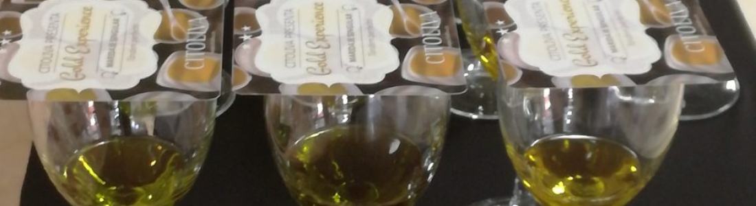 El plazo de presentación a los Premios Terra Oleum acaba el próximo 24 de enero El plazo de presentación a los Premios Terra Oleum acaba el próximo 24 de enero