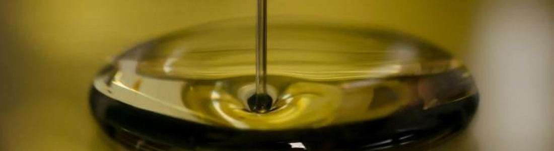El Gobierno aprueba la norma de calidad del aceite de oliva El Gobierno aprueba la norma de calidad del aceite de oliva