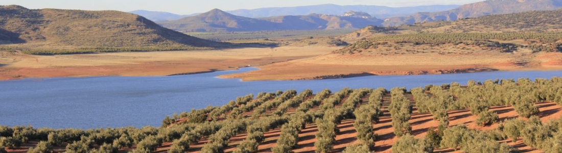 Los albergues de temporeros abiertos la pasada noche en Jaén han tenido una ocupación media del 38,7% Los albergues de temporeros abiertos la pasada noche en Jaén han tenido una ocupación media del 38,7%