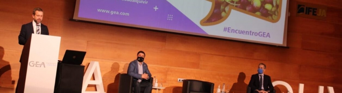 El alcalde de Jaén destaca que desde el Ayuntamiento «trabajamos para reforzar nuestro papel de capital mundial del aceite de oliva» El alcalde de Jaén destaca que desde el Ayuntamiento «trabajamos para reforzar nuestro papel de capital mundial del aceite de oliva»