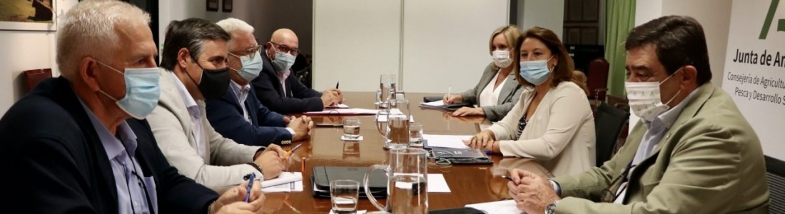 La consejera de Agricultura considera injusto que Andalucía sea la única comunidad de España que pierda con la nueva PAC La consejera de Agricultura considera injusto que Andalucía sea la única comunidad de España que pierda con la nueva PAC