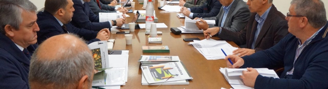 Cooperativas Agro-alimentarias de Andalucía traslada al consejero sus propuestas para impulsar el sector agroalimentario Cooperativas Agro-alimentarias de Andalucía traslada al consejero sus propuestas para impulsar el sector agroalimentario