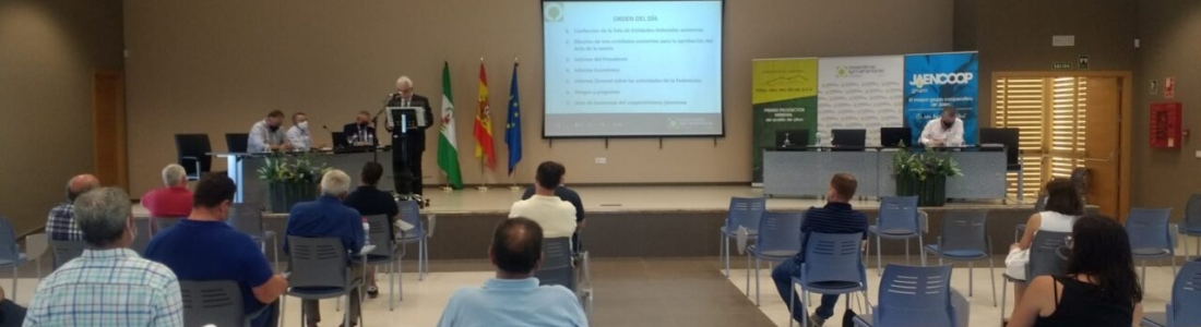 Cooperativas Agro-alimentarias de Jaén hace balance de 2020, un año marcado por el Covid-19 y las reivindicaciones del sector agrario Cooperativas Agro-alimentarias de Jaén hace balance de 2020, un año marcado por el Covid-19 y las reivindicaciones del sector agrario