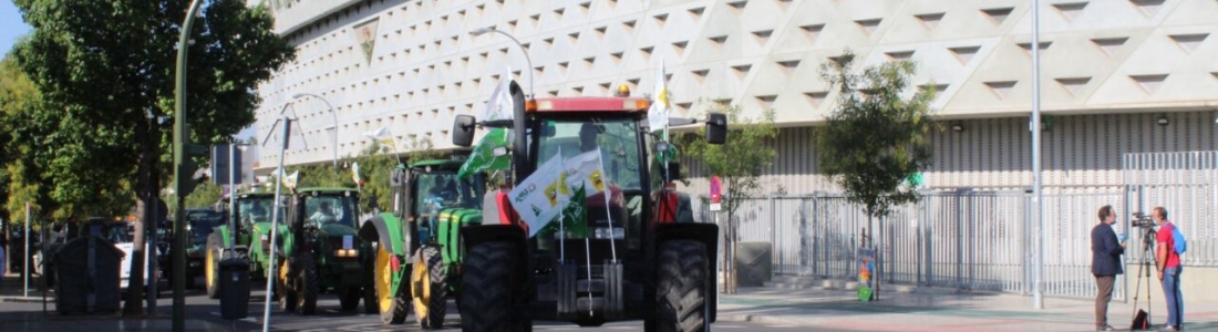 Caravana de vehículos en Sevilla para reclamar una PAC justa para los agricultores y los ganaderos de Andalucía Caravana de vehículos en Sevilla para reclamar una PAC justa para los agricultores y los ganaderos de Andalucía