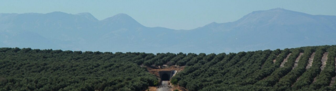 La Junta asegura que no está dispuesta a firmar «el cheque en blanco que supone la propuesta nacional para la nueva PAC planteada por el Ministerio» La Junta asegura que no está dispuesta a firmar «el cheque en blanco que supone la propuesta nacional para la nueva PAC planteada por el Ministerio»