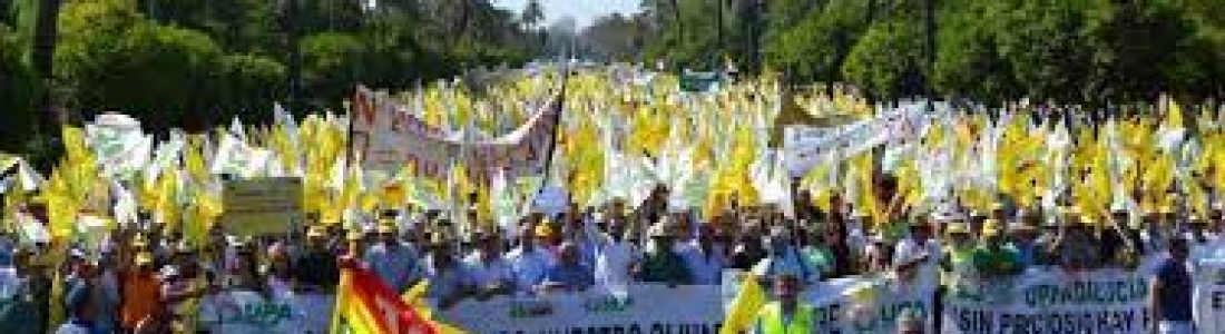 El sector agrario convoca una caravana de protesta ante «la pérdida de renta que provocará el Plan Estratégico de la PAC en Andalucía» El sector agrario convoca una caravana de protesta ante «la pérdida de renta que provocará el Plan Estratégico de la PAC en Andalucía»