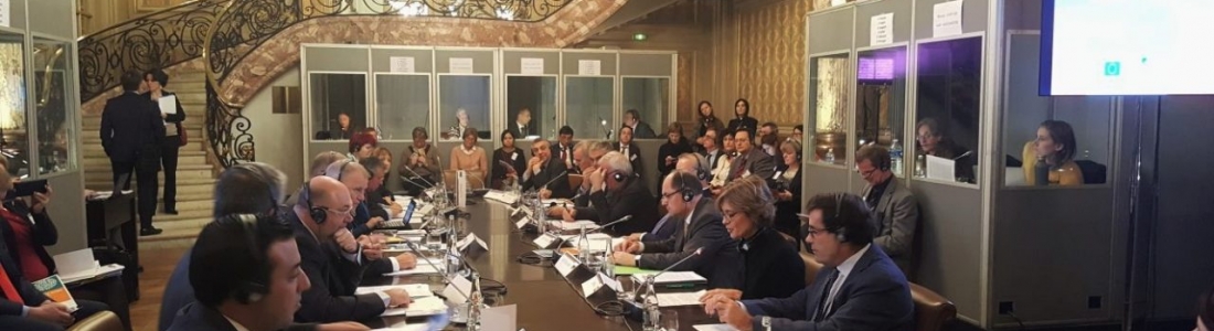 García Tejerina analiza con sus homólogos europeos la situación de la xylella fastidiosa en la UE García Tejerina analiza con sus homólogos europeos la situación de la xylella fastidiosa en la UE