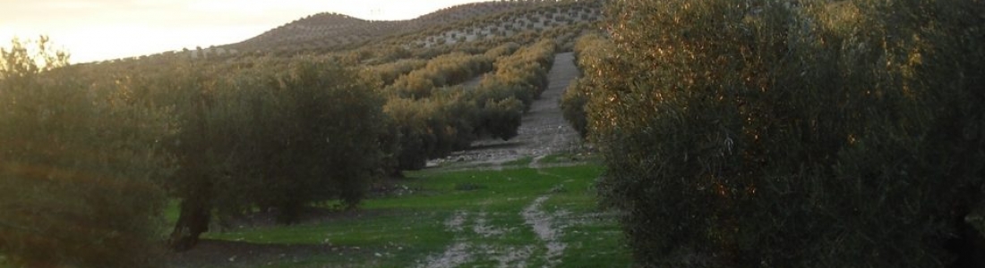 La Junta autoriza el pago de 13 millones de euros para zonas con limitaciones naturales La Junta autoriza el pago de 13 millones de euros para zonas con limitaciones naturales